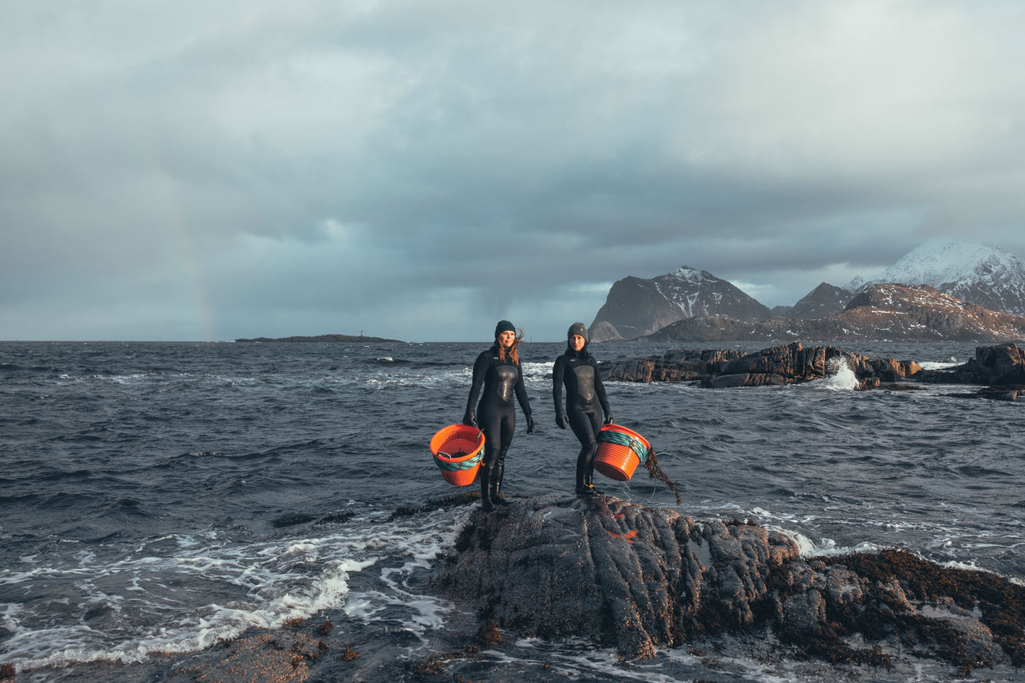 Lofoten Seaweed: Čistá chuť arktického moře