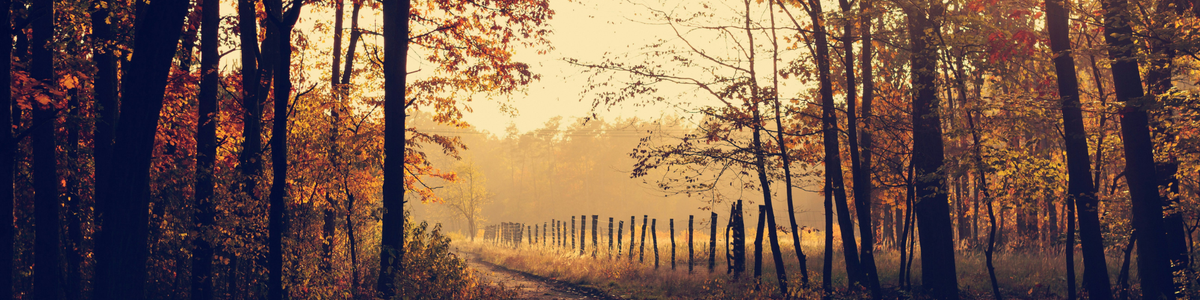 Hello Autumn