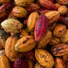 Norská čokoláda 45% mléčná s kakaovými boby & uzenou solí bio