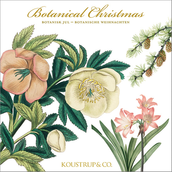 Čtvercová přání s obálkami Botanical Christmas 8 ks